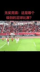法国报纸最新动态与分析